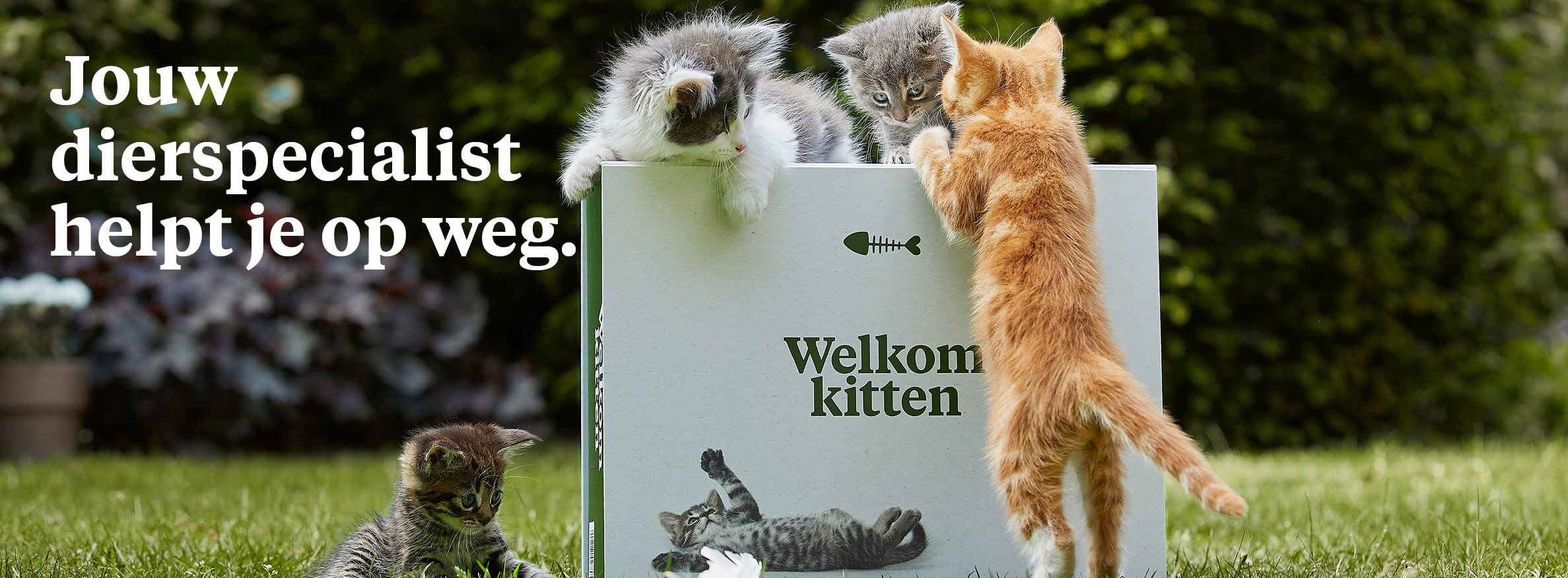 Gratis welkomstpakket voor je kitten. Gratis welkomstpakket voor je kitten.